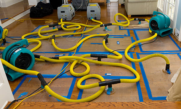 Professional Basement Flood Cleanup technician working in Watauga, TN